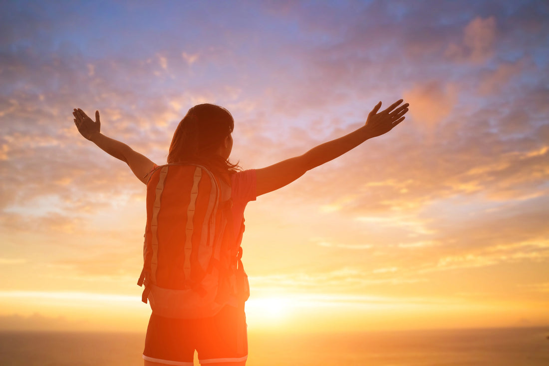 Four-Year Plan: Building a Multi-Passionate Life in The Happy Chickery